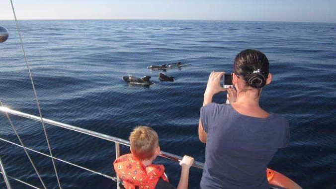 eden-catamaran-tour-tenerife (4)